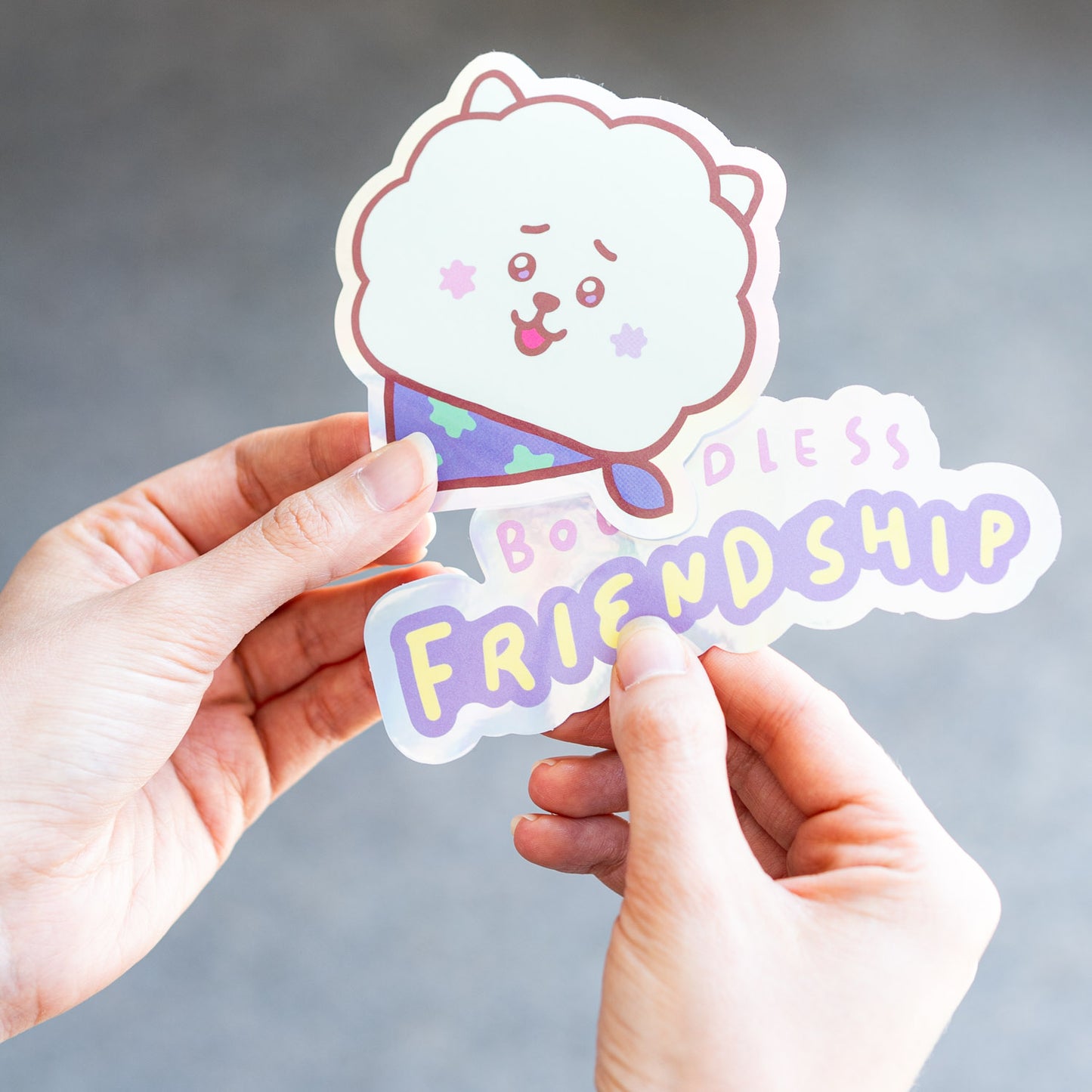 Pack 2 Autocolantes BT21 Oficial RJ – Vinil